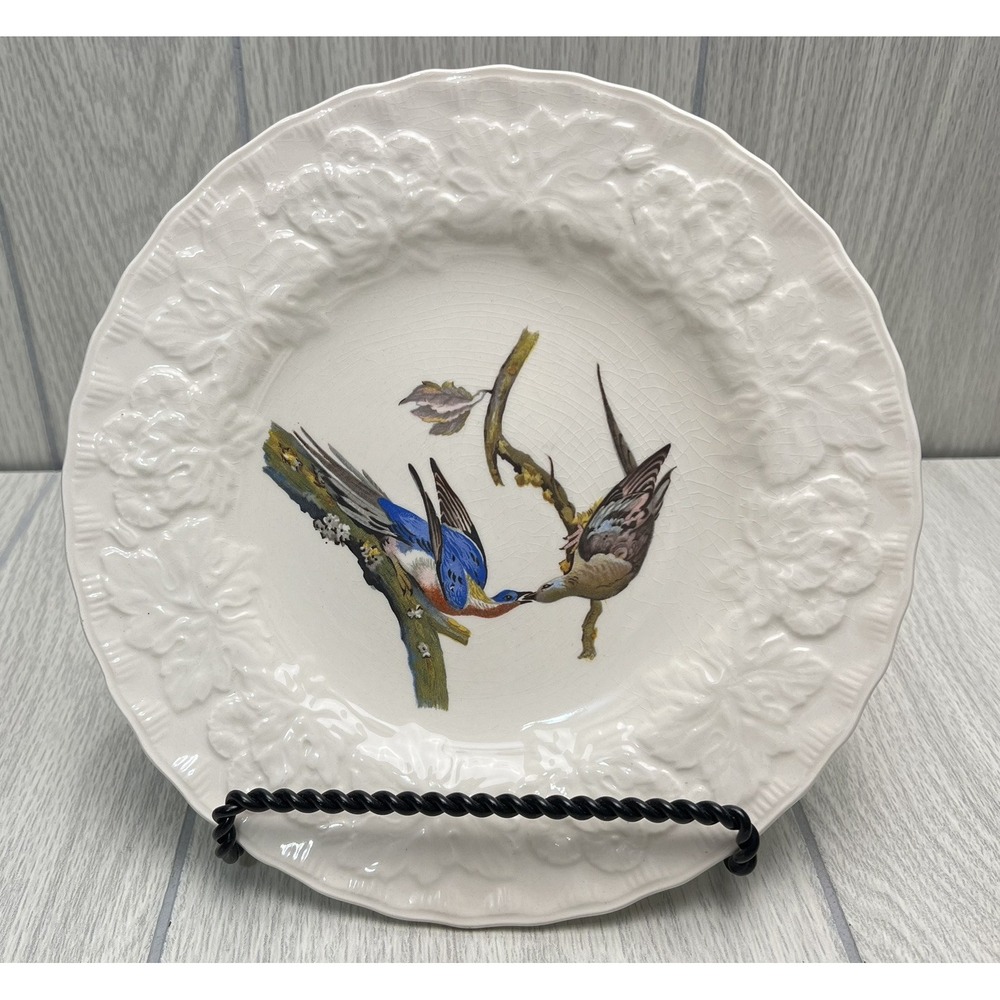 Birds of America Plate Alfred Meakin National Audubon Society Passenger Pigeon